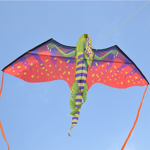 2019 Creative Dragion Kites with Long Tail  Pterosaur Design Outdoor Toy Kites