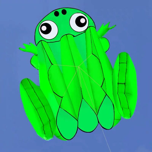 New High Quality 3D Single Line Software Frogs Kites